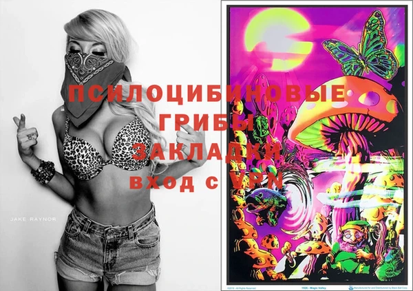 прущая мука Арсеньев