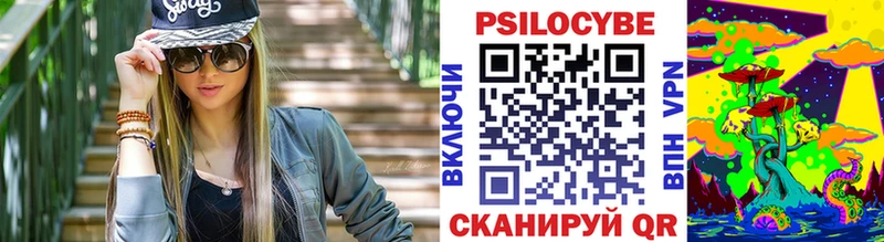 kraken маркетплейс  Белая Холуница  Псилоцибиновые грибы Psilocybine cubensis 